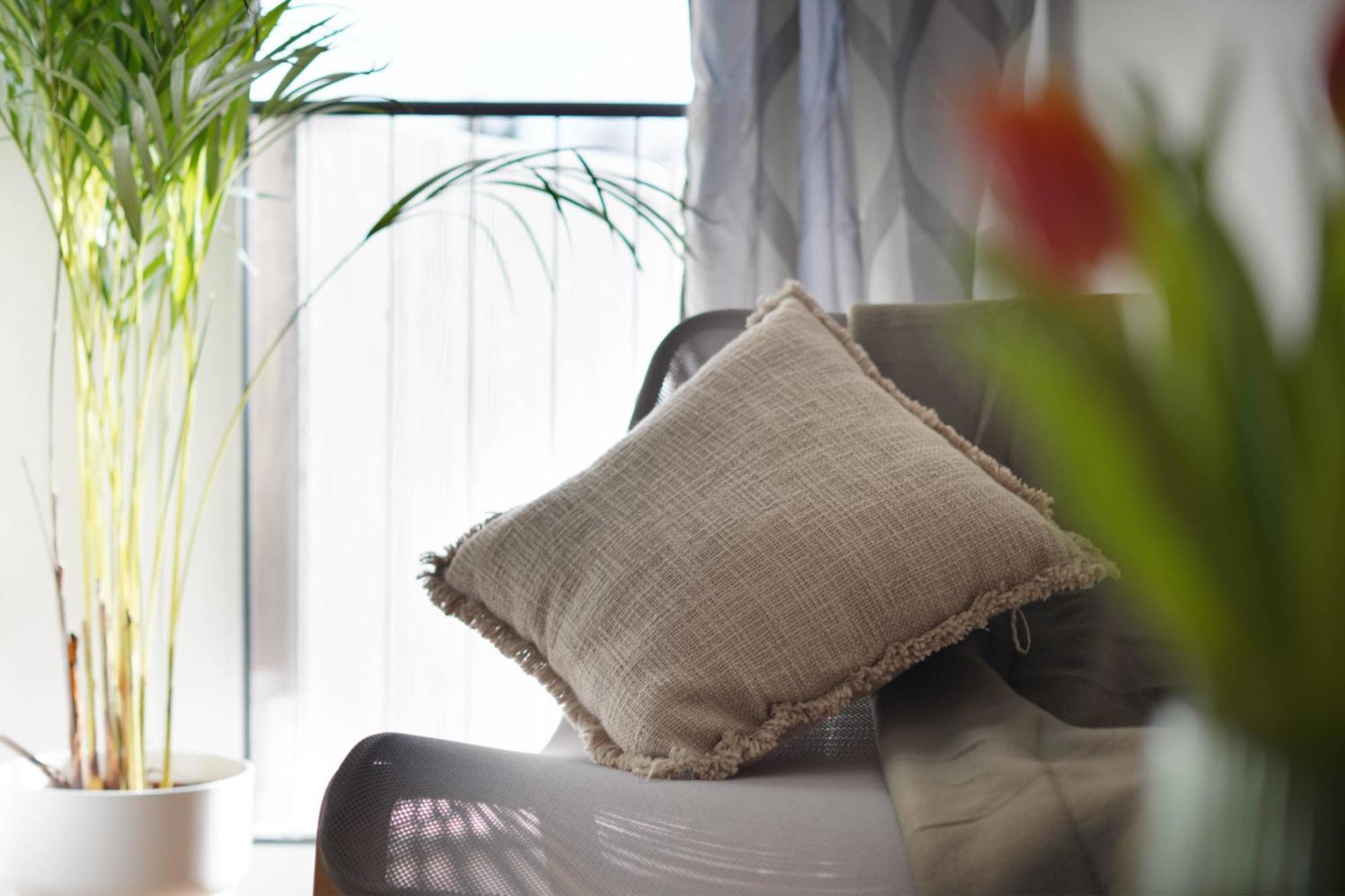 Schoene Apartments In Bad Rothenfelde I Private Parkplaetze Mit Ladesaeulen I Home2Share Екстериор снимка
